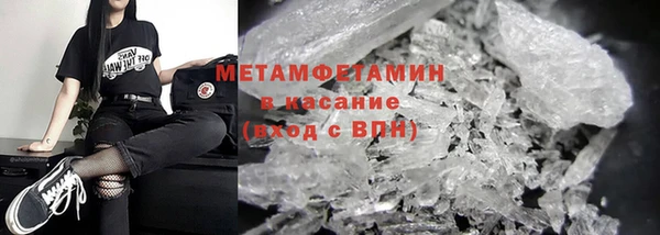 гидра Няндома