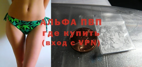 экстази Арсеньев