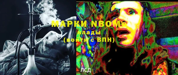 ешки Аркадак