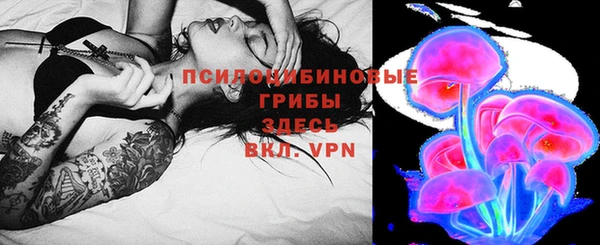 экстази Арсеньев