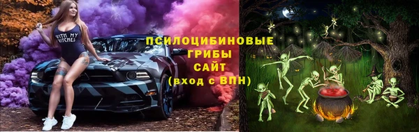 экстази Арсеньев